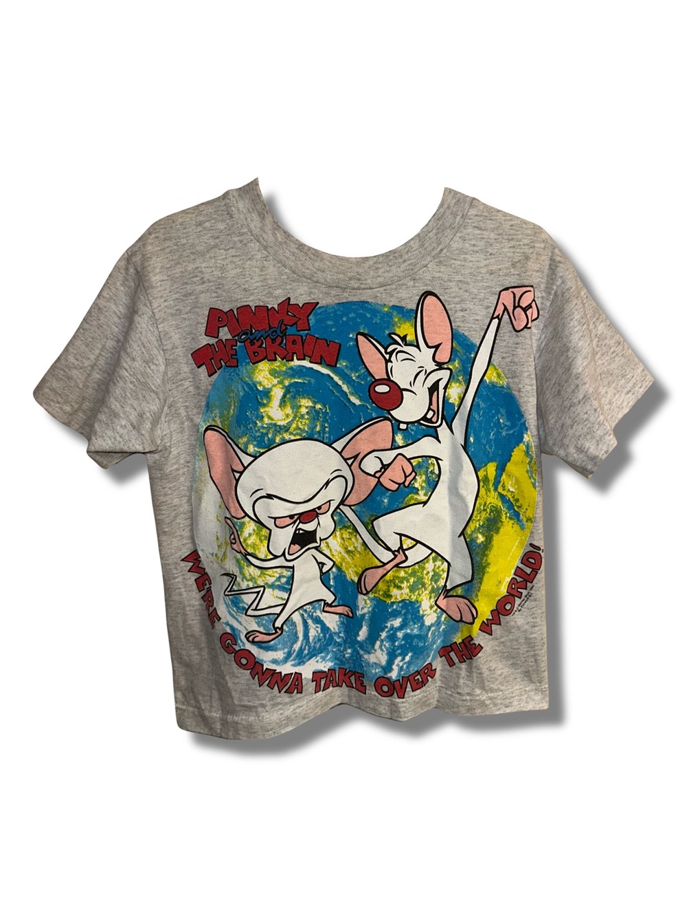 Vtg 1995 Pinky and The Brain Tshirt